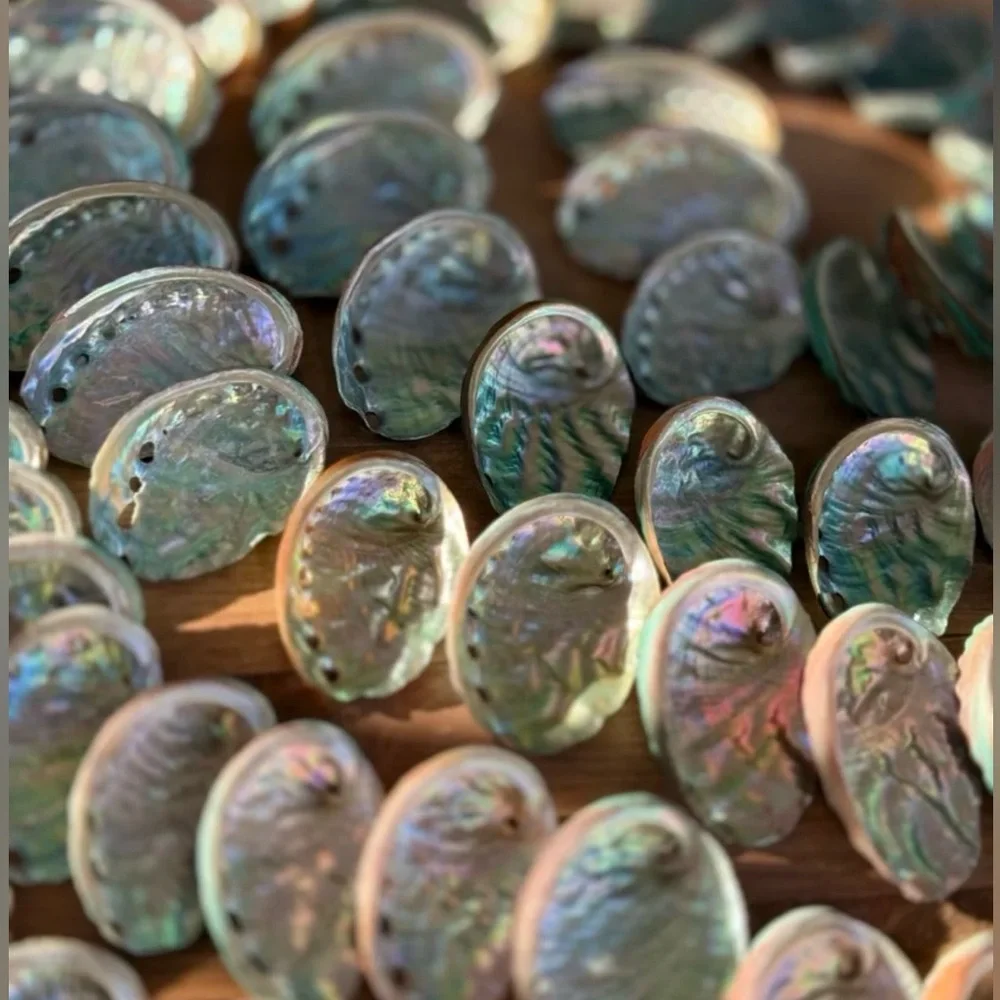 Real ABALONE Shells Polished Nautical DIY Crafting Decor Coastal Mixed Bulk lot